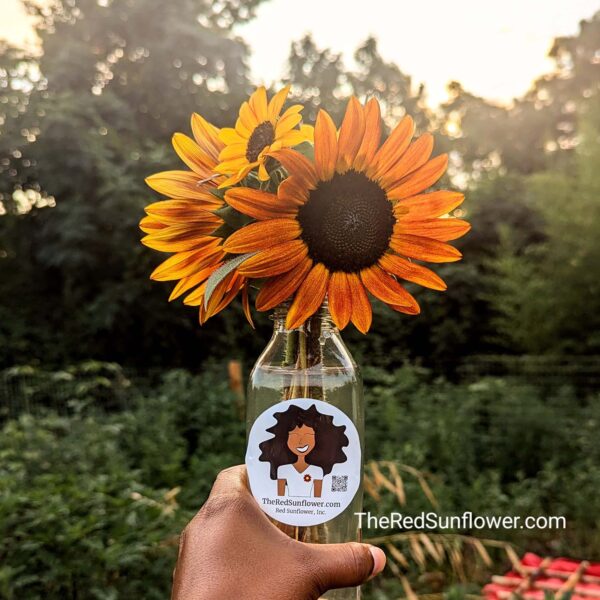 Fresh Cut Flowers- Mini Bouquet